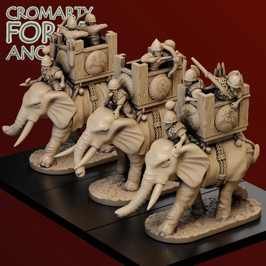 10mm Carthaginian Elephants Unarmoured With Tower Unit