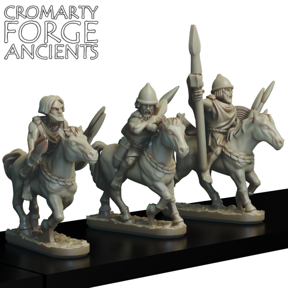 10mm Numidian light Cavalry Small Unit